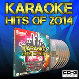 Mr Entertainer Karaoke Chart Hits 700 Song CD+G Disc Set
