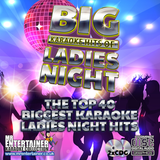 Mr Entertainer Big Karaoke Hits of Ladies Night