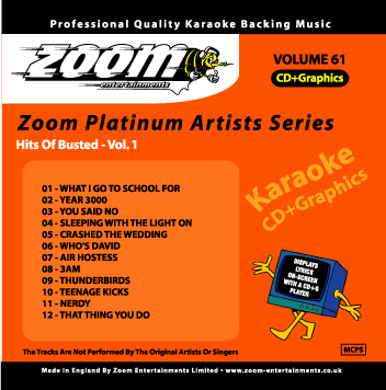 Zoom Karaoke ZPA061 Platinum Artists Busted
